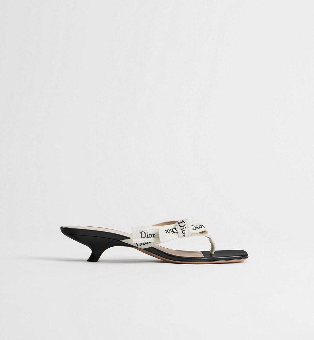 Dior Thong Sandals