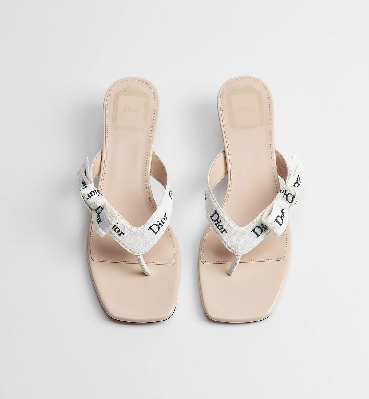 Dior Thong Sandals