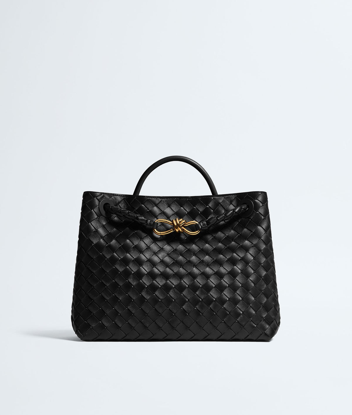 Bottega Bag
